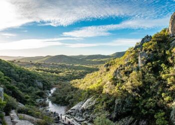 Uruguay forms Roundtable for the Safety of Journalists – Latin America Reports