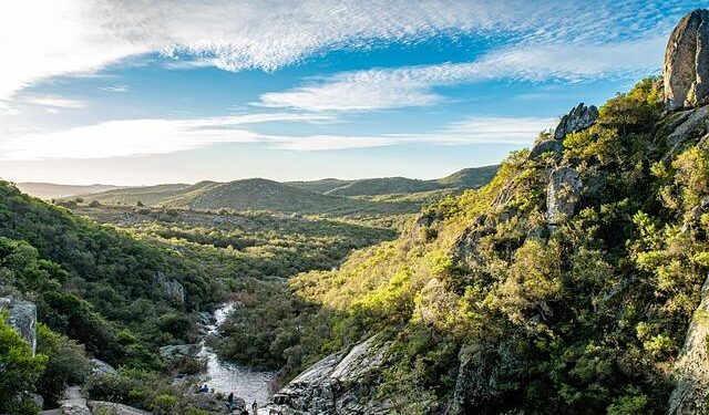 Uruguay forms Roundtable for the Safety of Journalists – Latin America Reports