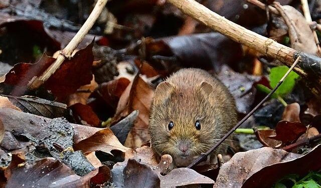 EXIM Bank of the U.S. Signs $800 Million Memoranda of Understanding with Barbados and Saint Kitts and Nevis – US Embassy in Barbados