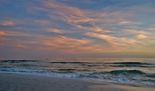 Gulf of America Day, 2025 – The White House