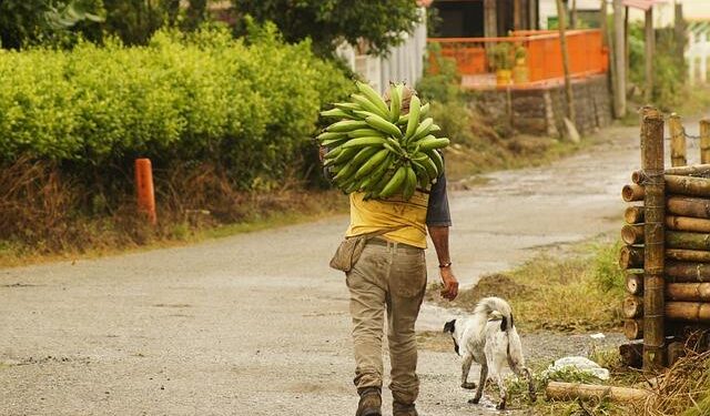 Colombia vs Paraguay: Lineups for 2024 Copa America match – Bolavip US