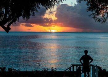 Best things to do in Barbados and where to stay – The Independent