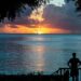 Best things to do in Barbados and where to stay – The Independent