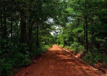 Alabama is home to 2 of the fastest growing metro areas in the U.S. – AL.com