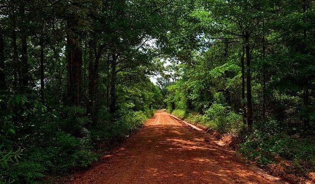 Alabama is home to 2 of the fastest growing metro areas in the U.S. – AL.com