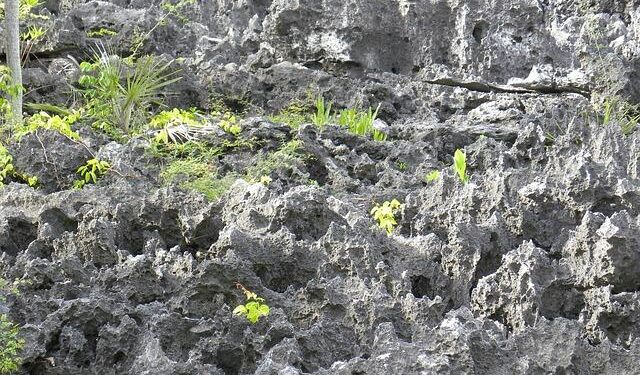 Family of U.S. student jailed in Cayman Islands for violating COVID-19 rules calls on Trump to intervene – CBS News