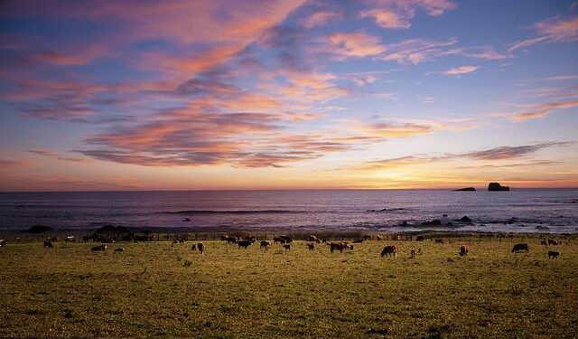 US imposes sanctions on Nicaragua over repression, migrant smuggling – Voice of America