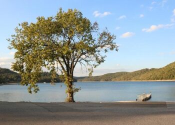 Arkansas Takes Over As the Epicenter of American Steelmaking – Site Selection Magazine