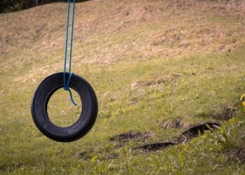 What do we need to know about the swing state of Arizona? – Brookings Institution