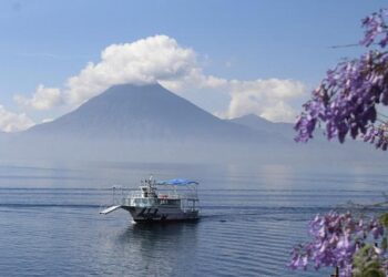 Arévalo Wants to Change Guatemala. Some Say He’s Moving Too Slowly. – Americas Quarterly