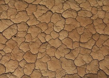 Severe drought drops water level to historic low on the Paraguay River, a regional lifeline – The Associated Press