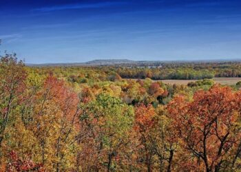 Change is Coming to Harrison, Arkansas, Once Called ‘The Most Racist Town in America’ – New American Journal