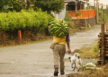 After Colombia Folds to Trump, Latin American Leaders Decline to Attend Anti-Trump Summit – Federation for American Immigration Reform