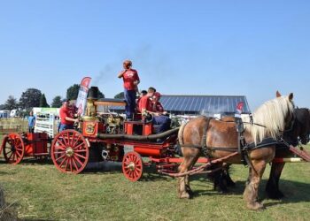 Shutting down Education Department is a ‘hit job’ on everyday Americans – afscme