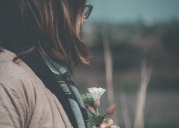 Tropical Storm Sara makes landfall in northern Honduras and brings heavy rain to Central America – KJCT