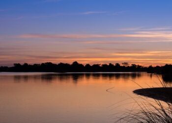 Paraguay-Brazil: the curious case of penalty shootouts – copaamerica.com