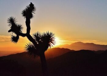 American Joshua Riibe’s nightmare in Dominican Republic not over – MSN