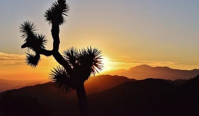 American Joshua Riibe’s nightmare in Dominican Republic not over – MSN