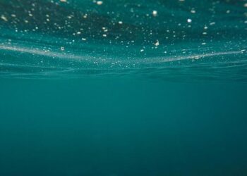 NOAA sets sail to the deep waters off Puerto Rico and U.S. Virgin Islands – National Oceanic and Atmospheric Administration