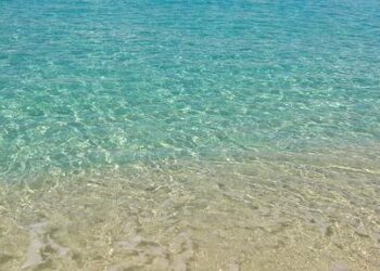 Caribbean Catastrophe: Avoiding The Haiti Fallout – Hoover Institution