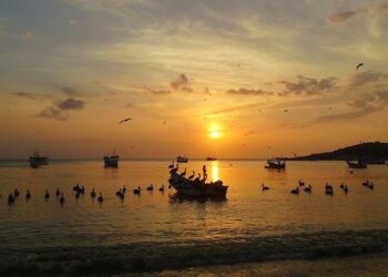 Venezuela’s Maduro Warns CARICOM of Guyana and US SOUTHCOM Collaboration Dangers – Venezuelanalysis.com