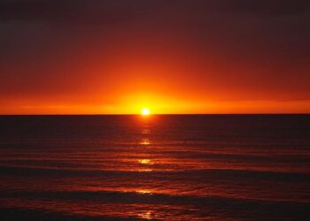 Ecuador vs. Jamaica – Final Score – June 26, 2024 – FOX Sports