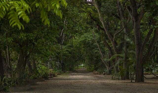 Venezuela to resume repatriation of migrants after deal with US, official says – The Caledonian-Record