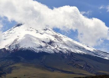 Ecuador Copa America 2024 squad: Moises Caicedo and Kendry Paez named in selection – The New York Times