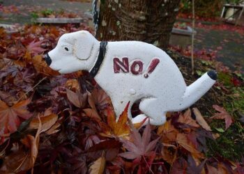 Nunez gets five-game international ban as Uruguay players punished for Copa brawl – Reuters.com