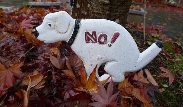 Nunez gets five-game international ban as Uruguay players punished for Copa brawl – Reuters.com