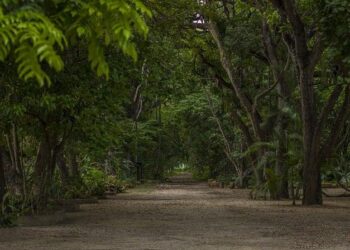 Venezuela accepts US deportation flight with 199 people – Al Jazeera English