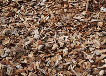 The U.S. Will Start Manufacturing Advanced Chips – IEEE Spectrum