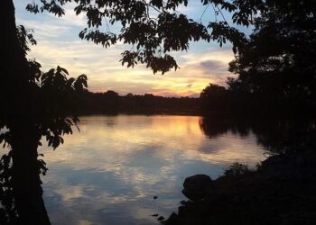 After Supreme Court ruling, a Black Alabama Democrat aspires to US House seat – Reuters