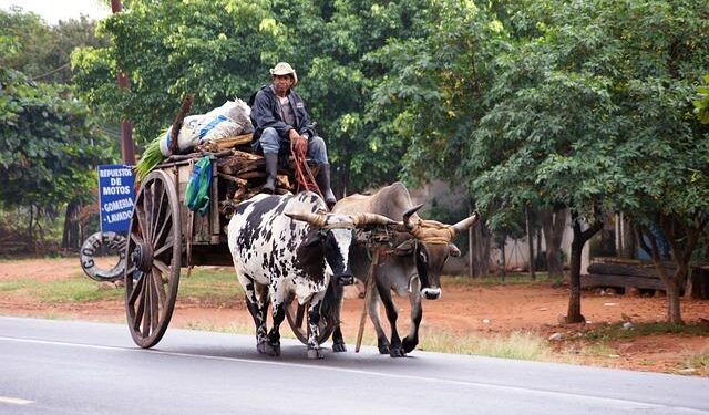 Paraguay and Taiwan strengthen their embrace, for now – The Economist