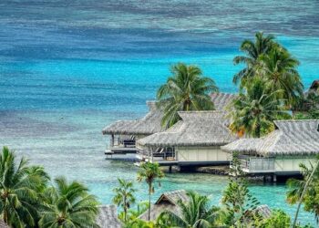 French Guiana: Mining, Minerals and Fuel Resources – AZoMining