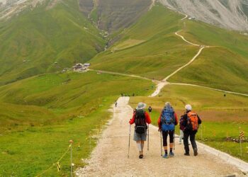Hikers on Caribbean island of Montserrat find ancient stone carvings – The Guardian