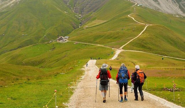 Hikers on Caribbean island of Montserrat find ancient stone carvings – The Guardian