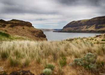 Bank of America Expands Debt-Swap Footprint With Ecuador Deal – Bloomberg