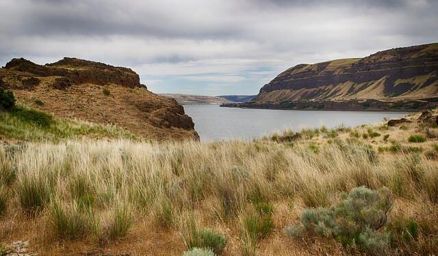 Bank of America Expands Debt-Swap Footprint With Ecuador Deal – Bloomberg