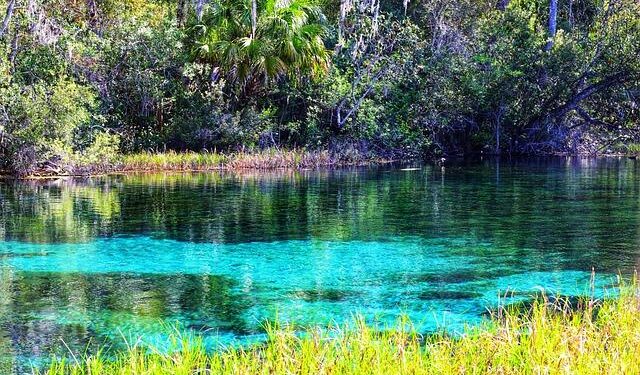 Best zoos in Florida: This one earns a ‘top 10’ spot in America, report says – FOX 35 Orlando