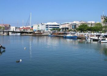 The Daily Bucket: A Barbados to Brazil Travelogue, Part 3. Suriname, French Guiana, and Brazil – Daily Kos