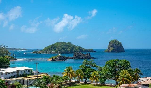 St Vincent and the Grenadines leader hit during anti-vaccine mandate protest – BBC.com