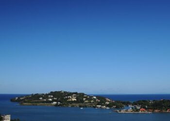 Saint Lucia Makes Donations To Art Museum Of The Americas – St. Lucia Times Online News