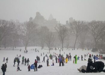 Mayor Adams calls New York the Georgetown of America – Caribbean Life