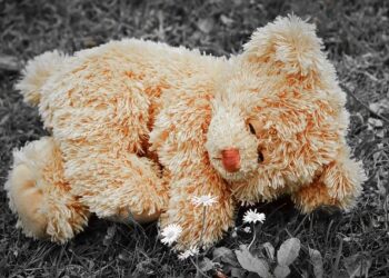 Miss Alabama Abbie Stockard crowned Miss America 2025: ‘This is insane’ – Des Moines Register