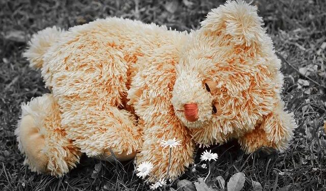 Miss Alabama Abbie Stockard crowned Miss America 2025: ‘This is insane’ – Des Moines Register