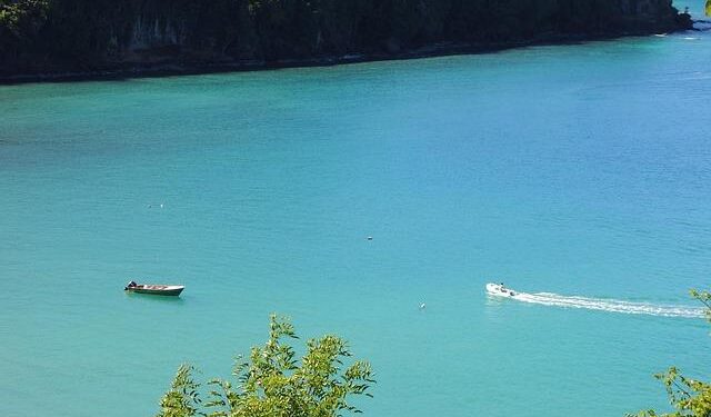 Saint Lucia, Other Caribbean Nations Seek Clarity From US on Reports of Proposed Travel Restrictions – St. Lucia Times Online News