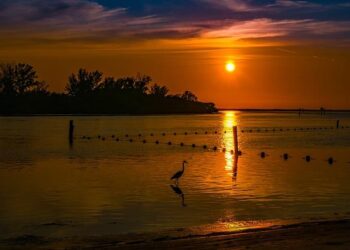 Gulf of America name change in the U.S. — what you’ll see in Maps – The Keyword