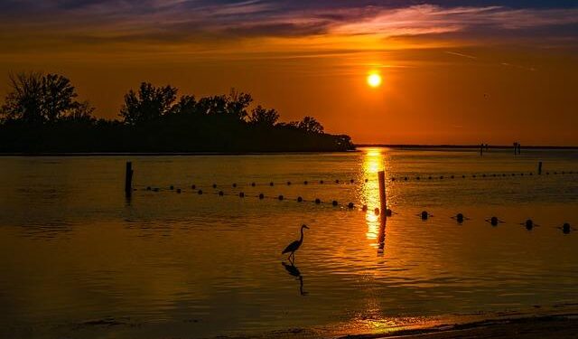 Gulf of America name change in the U.S. — what you’ll see in Maps – The Keyword