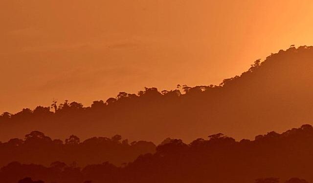 How to watch Guyana vs Guatemala in the USA: Live Stream and TV for CONCACAF Gold Cup Qualification – World Soccer Talk